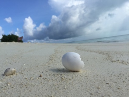 Mi a teendő, Maafushi-szigeten, a Maldív-dutyfree - s