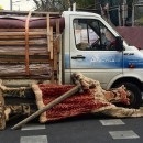 Чотири співробітники «беркута» через побиття на парковці опинилися на лаві підсудних