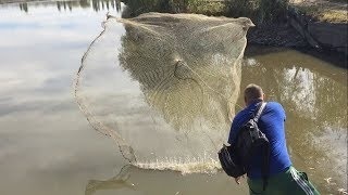 Що коїться під водою в бесклевье