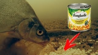 Mi történik a vízben beskleve (víz) Mi folyik a víz alatt a beskleve