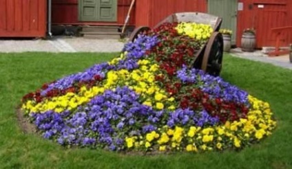 Gradina cu flori din apropierea casei cu maini proprii, interioare foto - HD