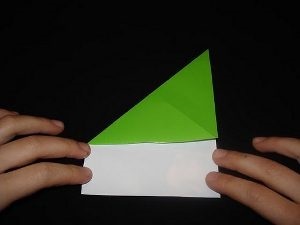 Faceți broaște origami prin cursuri de fotografii și video master
