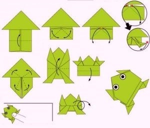 Faceți broaște origami prin cursuri de fotografii și video master