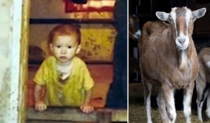 Gyermekek gondoskodott az állatok - hírek képekben