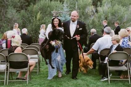 Prieteni până la moarte, câinele mort a durat până la sfârșit, pentru a participa la nuntă