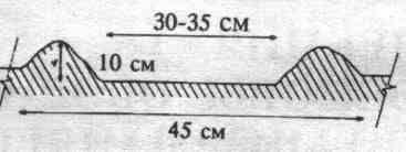 Jacob Mittlayer - curs de cultivare a legumelor pe Mittlayer - pagina 2