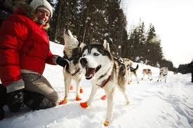 Excursii la grădinița Husky