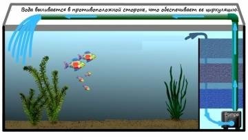 Фільтрація води в акваріумі