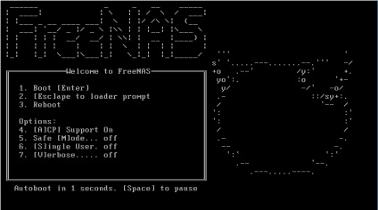 Freenas 9