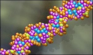 Herpesz és transzfer faktor, 4life transfer factor - határozottan támogatja az immunrendszert