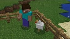 Arany csirke (arany-csirke)> addons> mcpe - letöltés mindent Minecraft Pocket Edition