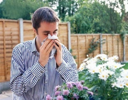 Гомеопатія при алергії