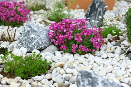 Perfect microclimat de grădină pe recomandările site-ului dvs. și fotografii