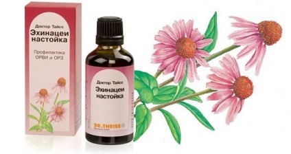 Immunal és Echinacea