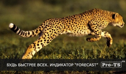 індикатор forecast