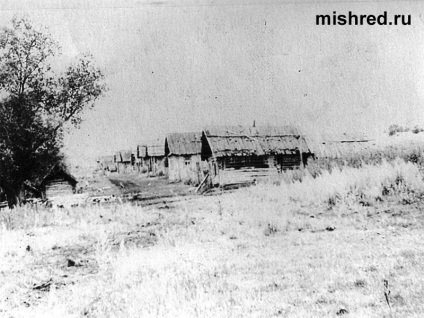Історія села Мишкино і Мішкінський району