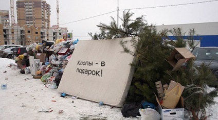 Позбутися від клопів самостійно, перша обробка від клопів