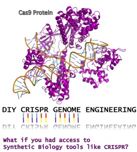 Змінювати гени по методу crispr скоро зможе будь-яка людина в домашніх умовах