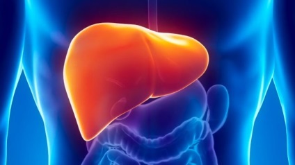 Modul în care hepatita C afectează ficatul