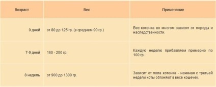 Яким повинен бути вага кошеня в перший рік його життя