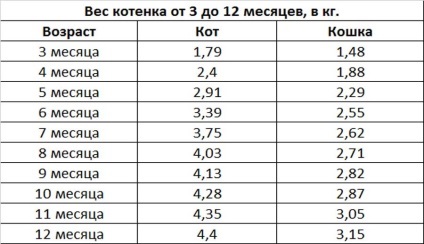 Яким повинен бути вага кошеня в перший рік його життя