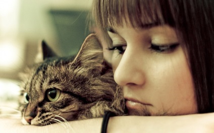 Cum o pisică afectează viața personală a unei femei - mireasa dulce - portal de mireasă