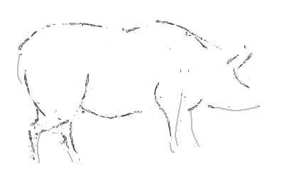 Cum de a desena un porc corect
