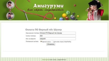 Cum sa platesti online la forumul amiguru - basm tricotat