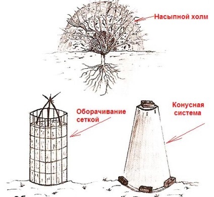 Як підготувати і вкрити троянди на зиму - способи укриття відео