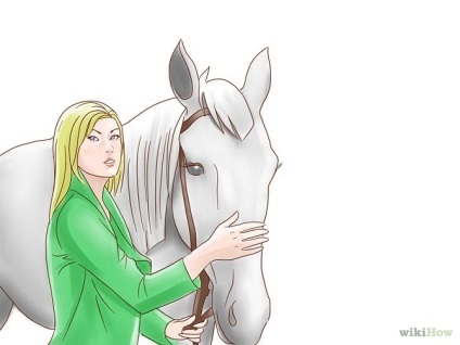 Як зробити ін'єкцію коні