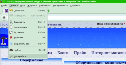 Cum se afișează parola în browser (sub asterisc), it-cat