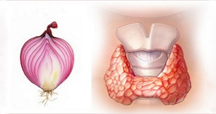 Cum să vindeci glanda tiroidă