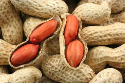 Як виростити земляний горіх (арахіс), 6 соток
