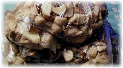 Cum se păstrează ciupercile de stridii