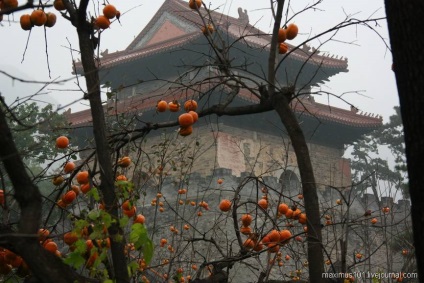 Mormintele dinastiei mina chinezeasca