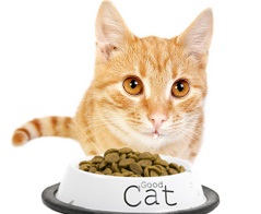 Класи кормів для кішок