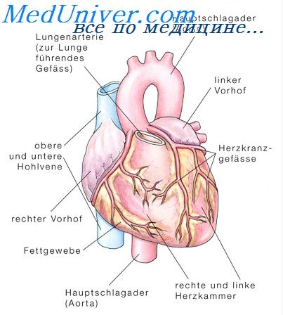 Imaginea clinică a astmului cardiac