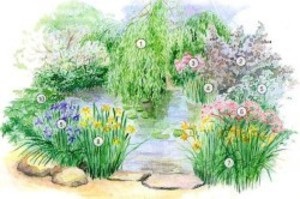 Ágyak, virágzó kora tavasztól késő őszig, 6 ar (Spring) Ágyak, virágzó kora tavasztól késő őszig, 6 ar