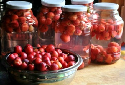 Kompót Hawthorn télen - ital receptek ananász, alma, narancs, haszon és kár