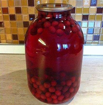 Kompót Hawthorn télen - ital receptek ananász, alma, narancs, előnyei és hátrányai (ananász) Kompót Hawthorn télen - ital receptek ananász, alma, narancs, haszon és kár