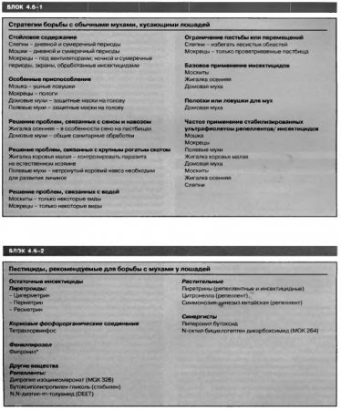 Контроль над мухами і гнусом - все про тваринництво