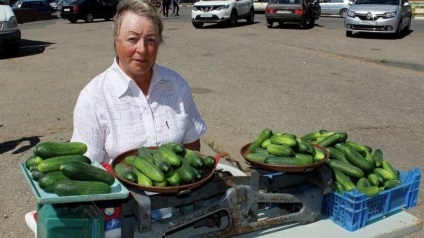 Coș de cumpărături - castravete Lukhovitsky cum să crească o legume perfecta