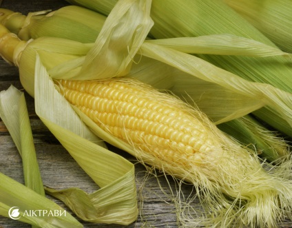 Kukorica selyem kezelésére máj