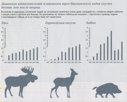 лабораторія чорнобиль