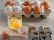 Tratarea injecțiilor cu materii vii de ouă de pui