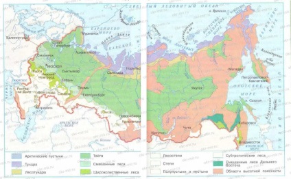 Pădurile Rusiei (Pleshak, Kryuchkova, Carnetul de lucru 4 partea 1)