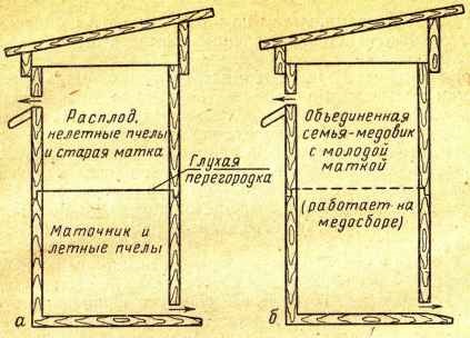 Ліквідація ройового стану бджіл методом нальоту