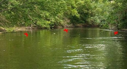 Prinde plutitor prin rafting de-a lungul râurilor mici capturarea pui asha plutind râul Diet ros north chub chub