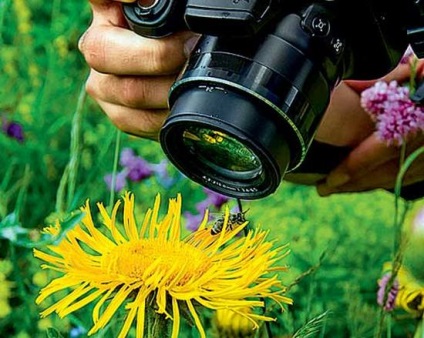 Obiective macro pentru Nikon (Canon) și Canon (canon) - recenzii, caracteristici, alegere