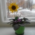 Майстер-клас «покрокове виготовлення квітки« соняшник »